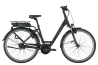 21517546_PNG