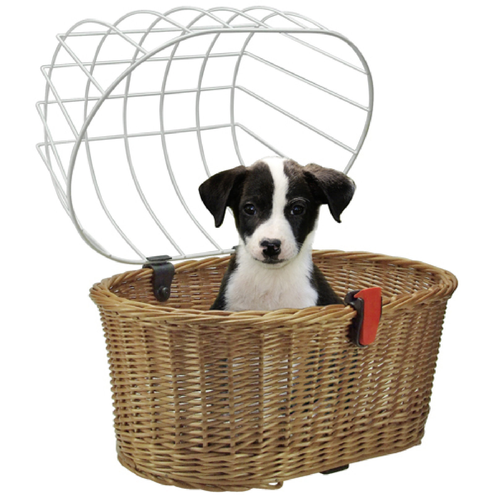 DOGGY BASKET GTA